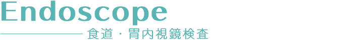 食道・胃内視鏡検査