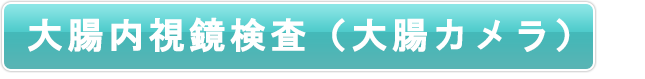 大腸内視鏡検査（大腸カメラ）